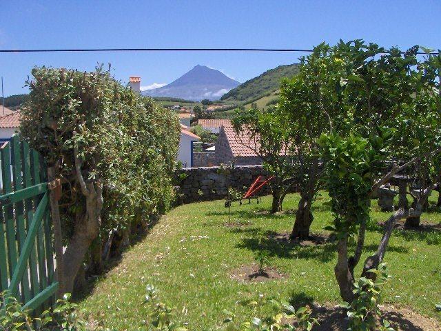 Quinta Do Canto Horta  Kültér fotó